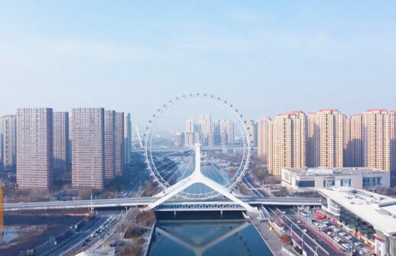 【理響中國(guó)·春江水暖鴨先知】一粒藥片向“新”而行