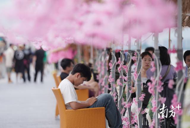 崖口村東堤靠近海岸，成為了熱門打卡休閑地點(diǎn)。