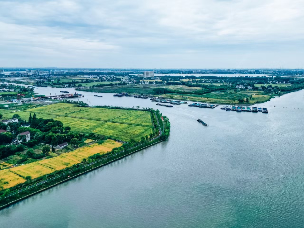 太浦河沿岸好風(fēng)光。吳橫軒攝