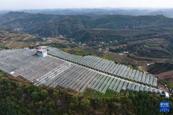 【高質(zhì)量發(fā)展看陜西】“上天”的延安蘋果，蘊藏哪些新質(zhì)生產(chǎn)力