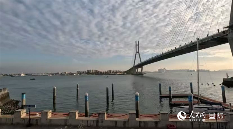海南省儋州市洋浦大橋。人民網 薩拉·阿芙澤爾攝