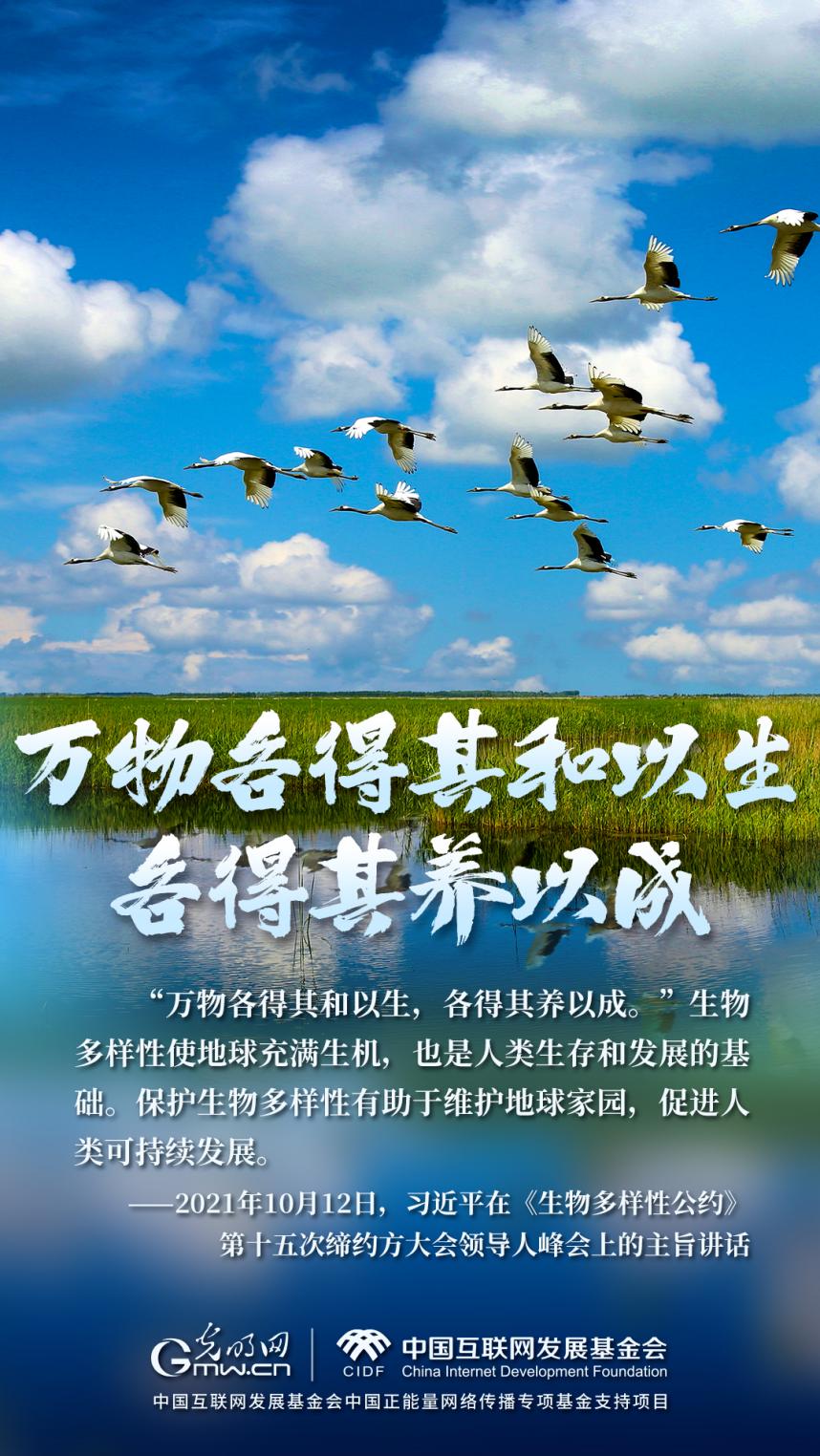 “兩山”理念與美麗中國丨濕地與候鳥，一場歲歲年年的相守