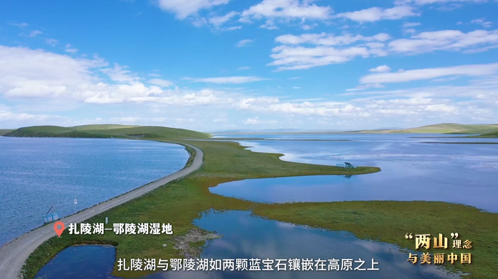 “兩山”理念與美麗中國丨濕地與候鳥，一場歲歲年年的相守