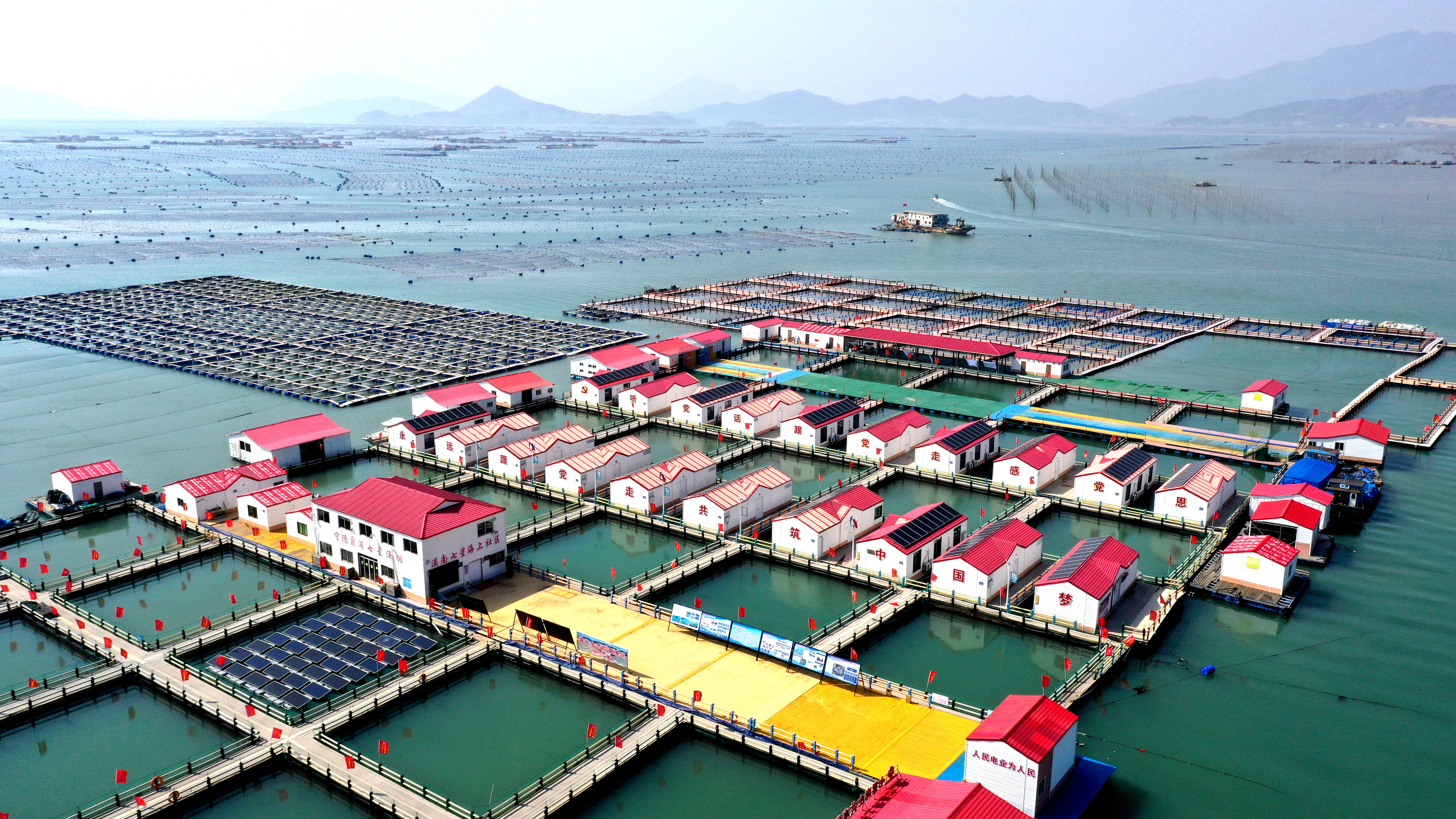 2024年3月20日，福建省寧德市，霞浦縣溪南鎮(zhèn)七星村漁排養(yǎng)殖示范區(qū)，漁民駕駛養(yǎng)殖船進(jìn)行海參養(yǎng)殖作業(yè)。