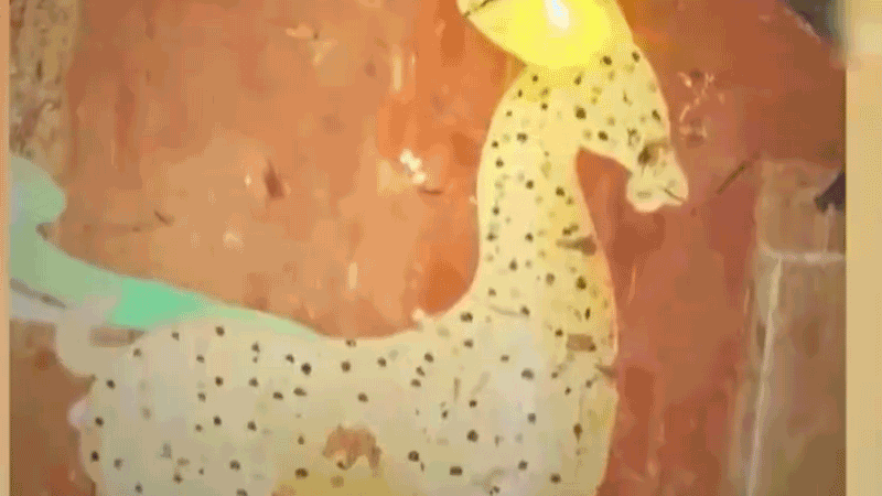 在全新技術支持下，敦煌莫高窟實現(xiàn)了窟內(nèi)文物窟外看的新體驗。