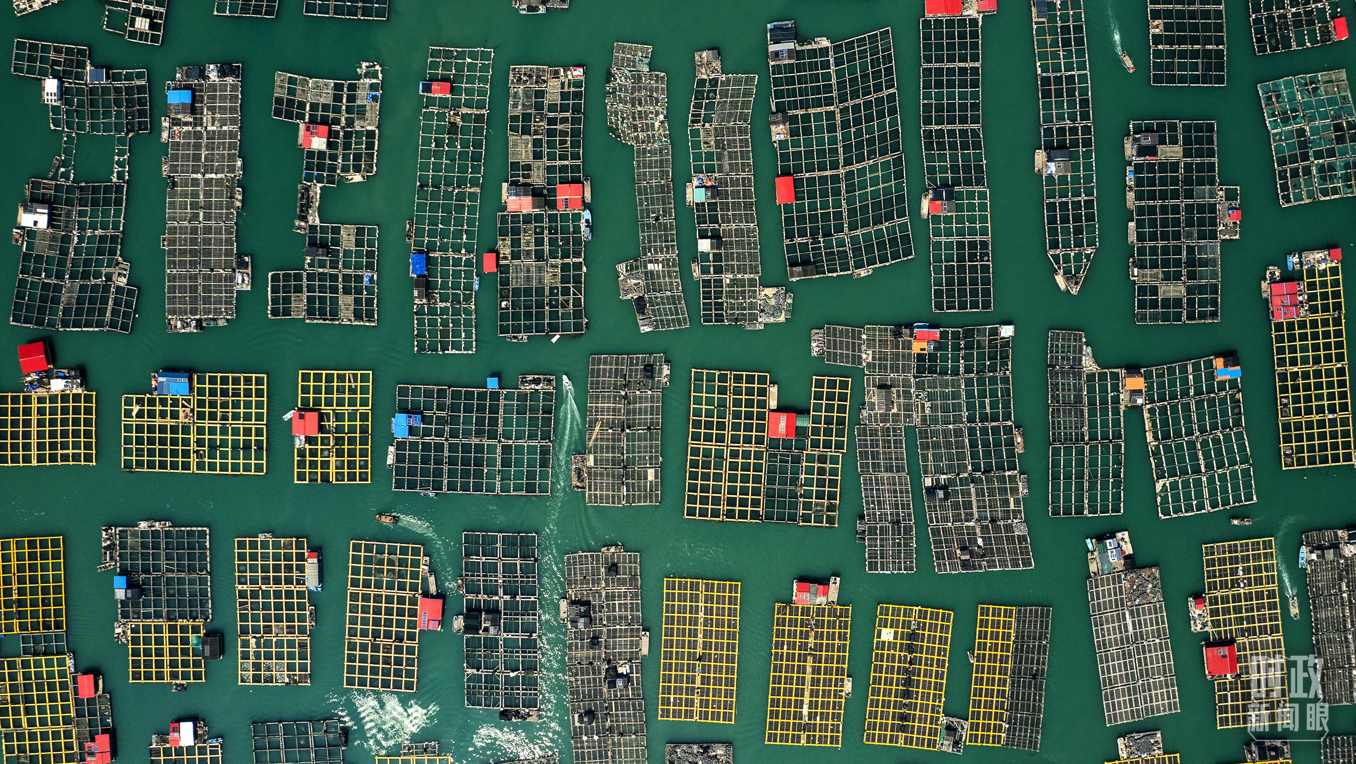 △澳角村。（總臺記者李晉拍攝）