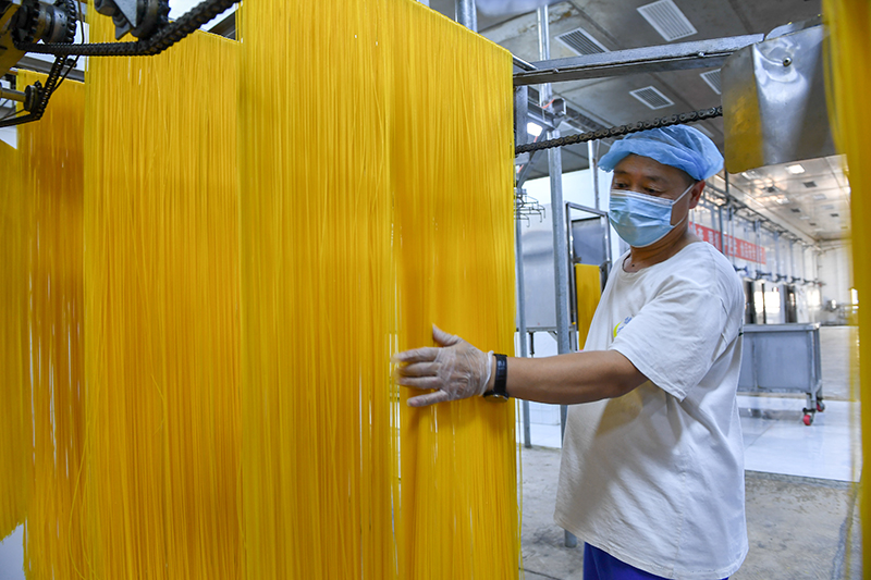 2024年1月25日，在吉林省公主嶺市的一家公司車間，工人查看玉米面條生產(chǎn)情況。