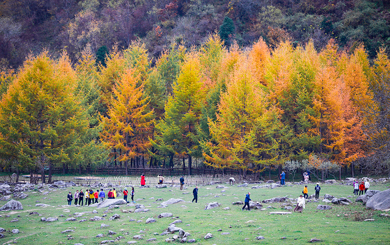 2023年10月27日，深秋時節(jié)的陜西秦嶺太子嶺漫山紅黃、色彩交織，進(jìn)入最佳觀賞期。