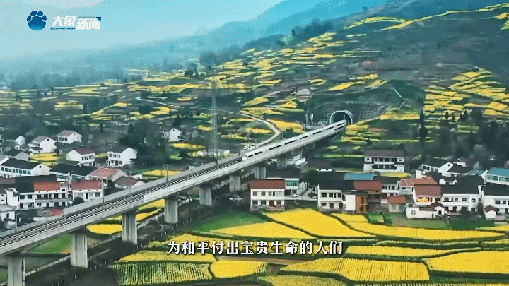 家國(guó)永念 | 看，山河已無(wú)恙