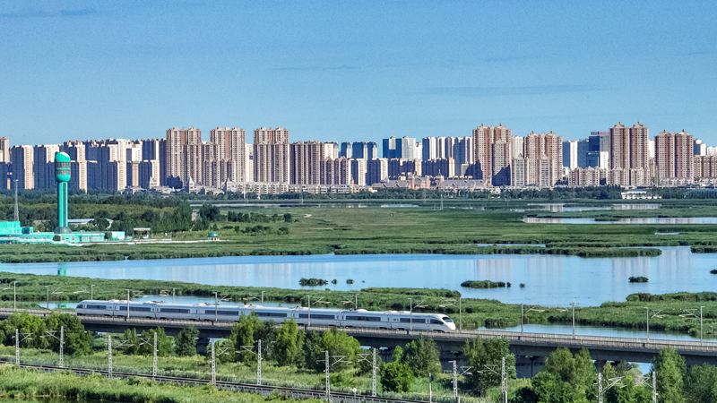 2025年8月17日，一列動(dòng)車組列車駛過(guò)大慶東站。