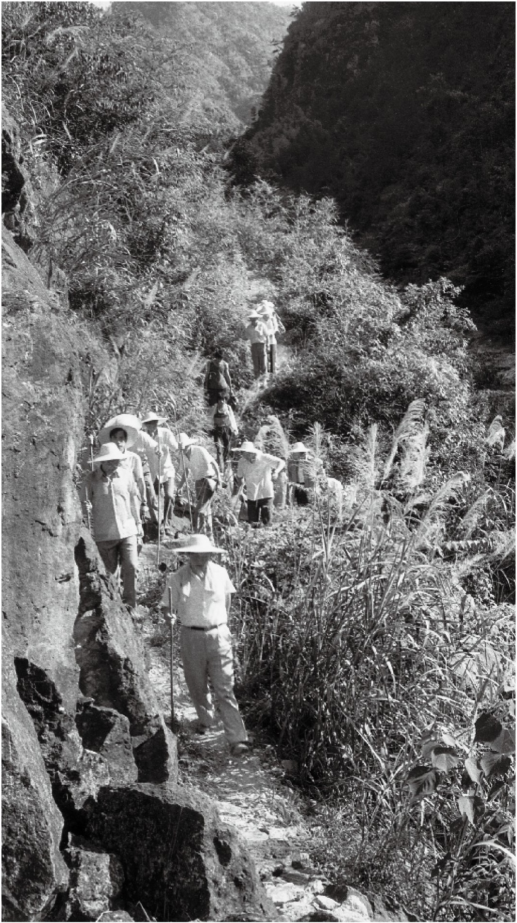 1989年7月，習(xí)近平一行到壽寧縣下黨鄉(xiāng)調(diào)研。