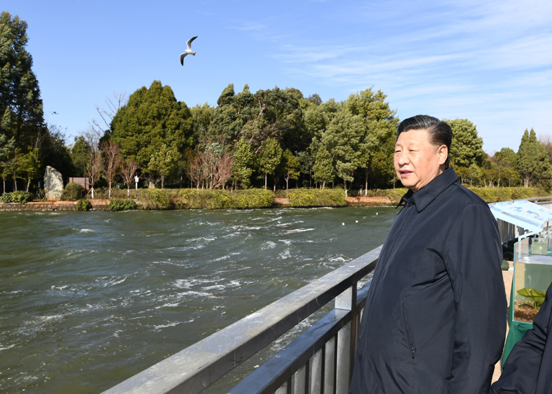 2020年1月20日下午，習(xí)近平總書記在云南昆明滇池星海半島生態(tài)濕地考察調(diào)研。