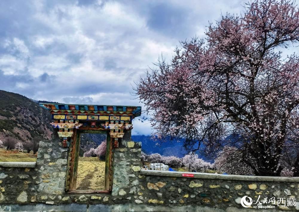 桃花下的藏式民居。人民網(wǎng) 李海霞攝