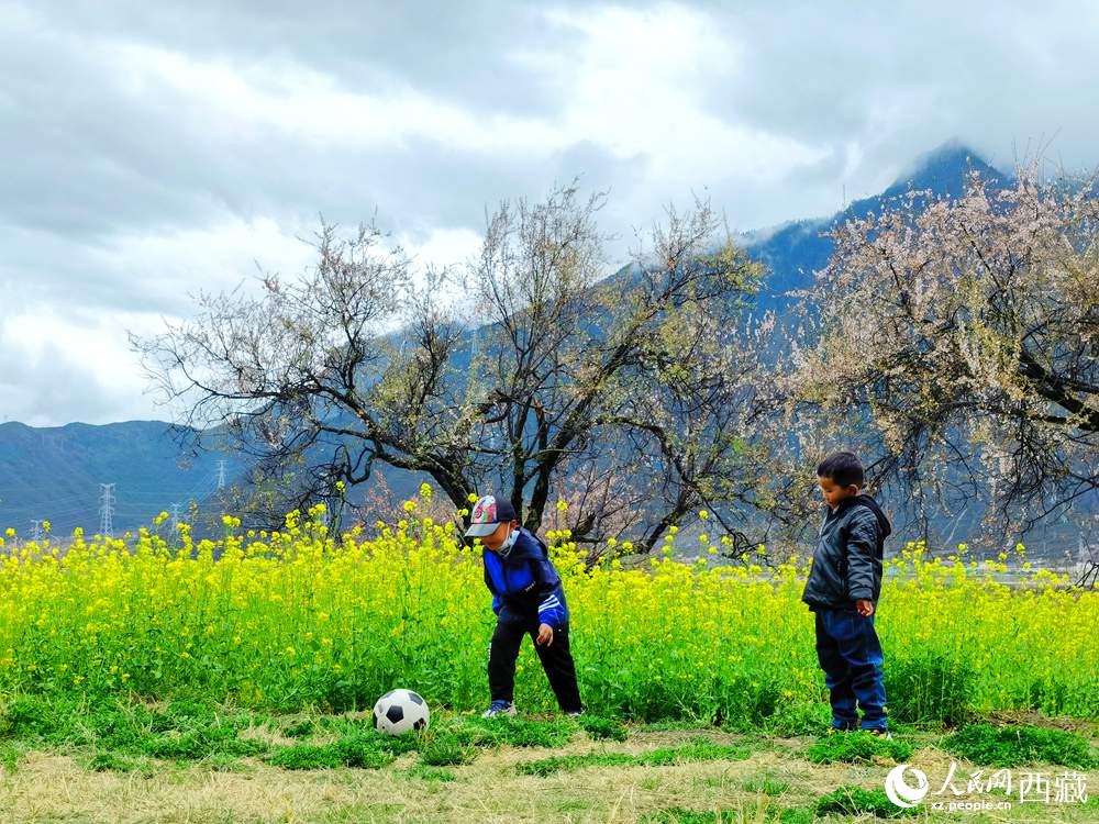 孩童在桃花下嬉戲。人民網(wǎng) 李海霞攝