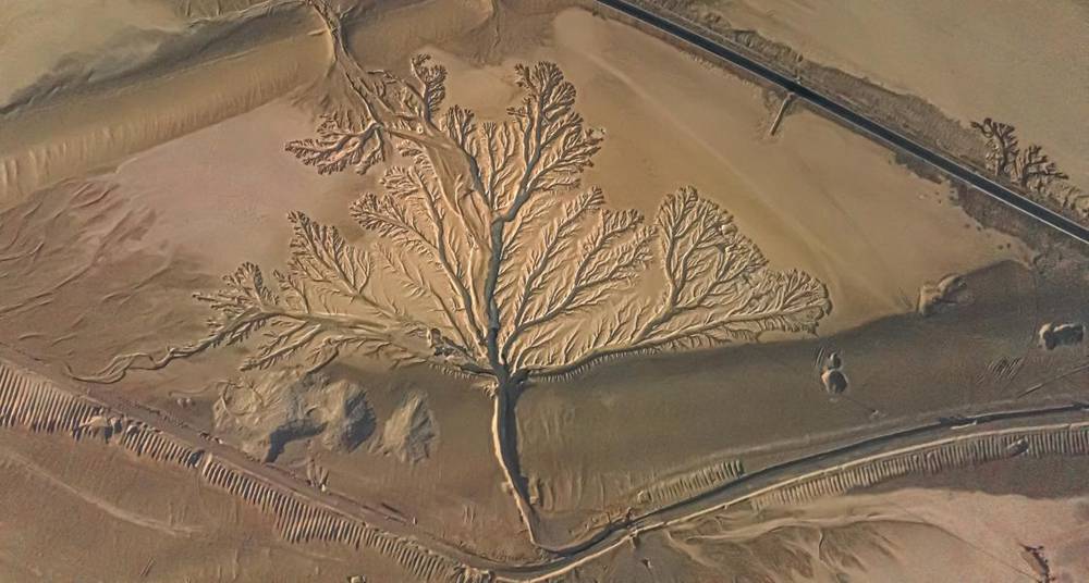 壯觀的“大地之樹”。邊巴多吉攝