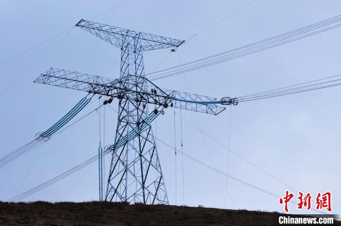 高原藏區(qū)電力線路建設(shè)者：高寒缺氧、扎刺掛彩是常事