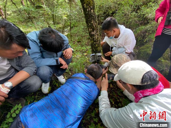 圖為訪客正在查看紅外相機(jī)中的拍攝畫面?！±罱瓕?攝