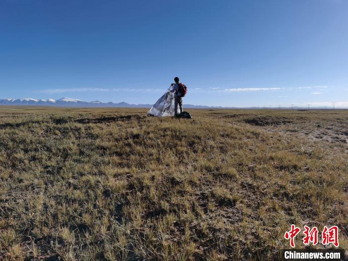 圖為索南達(dá)杰保護(hù)站保護(hù)隊員在可可西里找到露營的葉某?！∴嚭Ｆ?攝