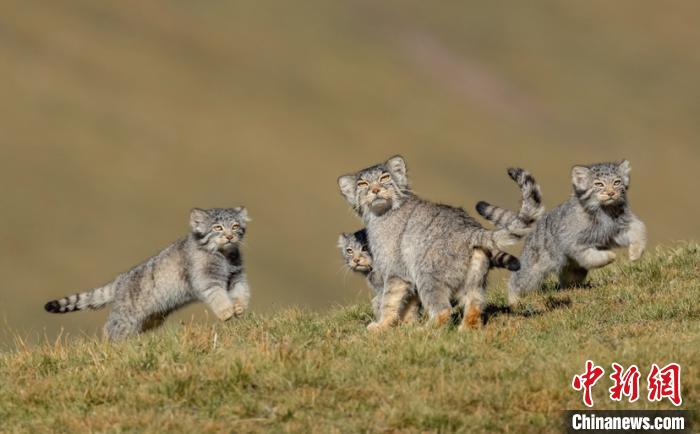 圖為李善元獲獎(jiǎng)作品《當(dāng)媽媽說(shuō)跑步前進(jìn)》?！±钌圃?攝