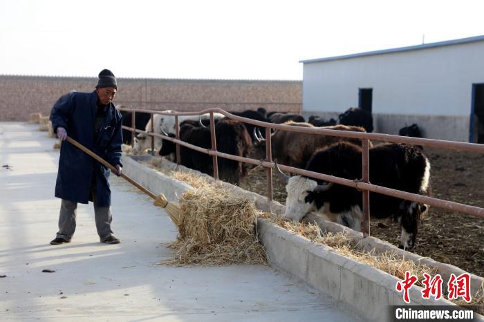 柴達(dá)木盆地蓮湖村：讓致富村民生活“?！逼饋? oldsrc=