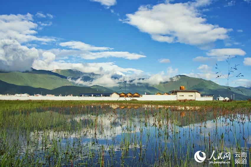 納帕海濕地風(fēng)景。呂昊辰攝