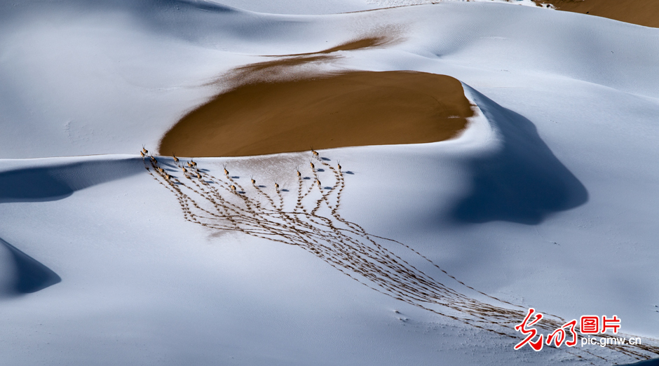三江源國(guó)家公園正式設(shè)立，這是青海生態(tài)文明建設(shè)的新答卷