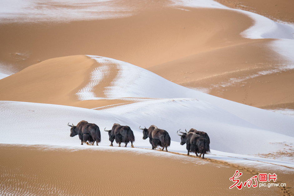 三江源國(guó)家公園正式設(shè)立，這是青海生態(tài)文明建設(shè)的新答卷
