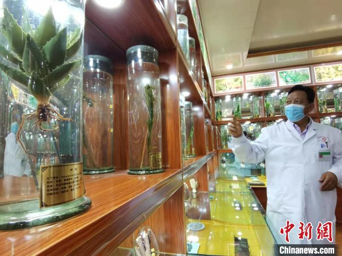 甘肅省甘南藏族自治州碌曲縣藏醫(yī)院副院長看照加近30年的從醫(yī)工作，堅持中藏醫(yī)特色優(yōu)勢相結(jié)合診療方法?！堟?攝