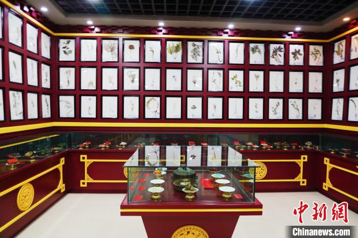 圖為藏藥臘葉標(biāo)本?！●R銘言 攝