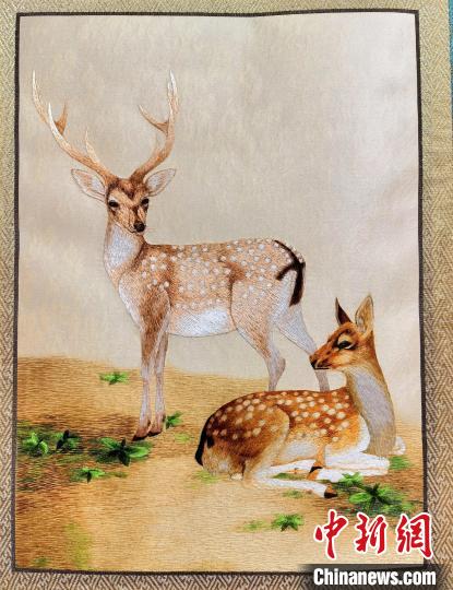 圖為藏繡作品?！∑钤鲚?攝