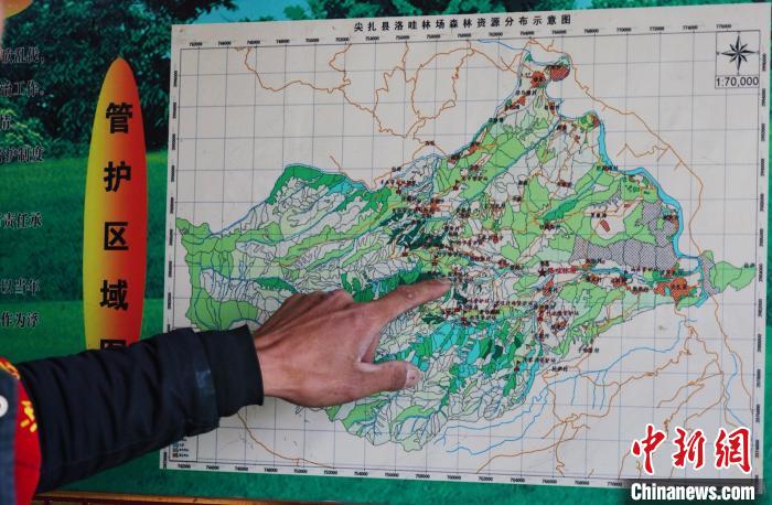 圖為桑杰加介紹管護區(qū)域分布。　馬銘言 攝