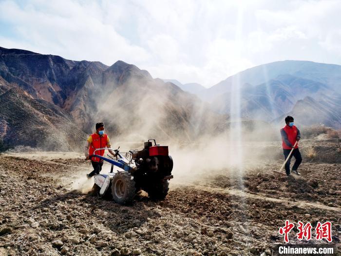 圖為拖拉機在山地犁地。　張?zhí)砀?攝