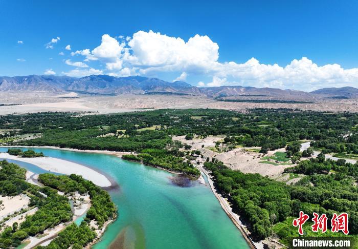航拍貴德縣黃河岸畔綠意盎然?！●R銘言 攝