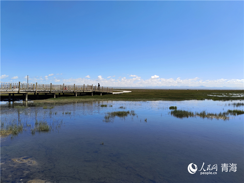   青海湖仙女灣。人民網(wǎng) 張莉萍攝