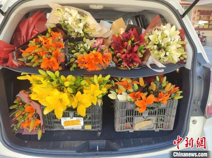 剛剛采摘下來的百合花?！∪捞量h委宣傳部供圖