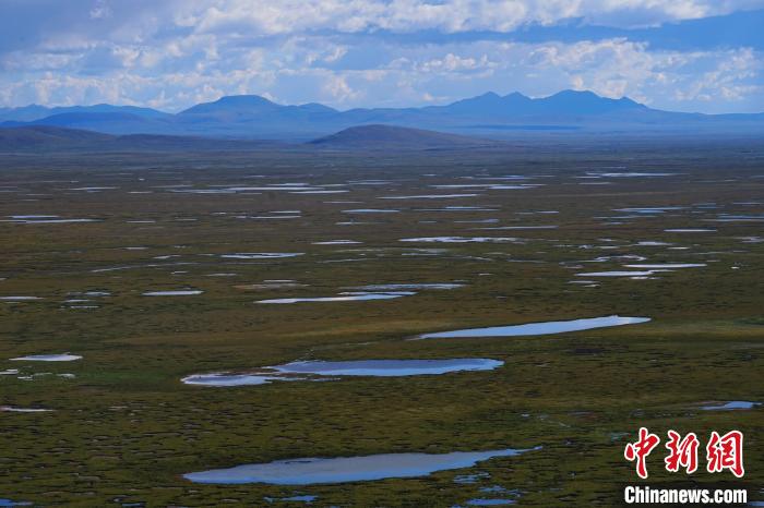 圖為查旦濕地?！●R銘言 攝