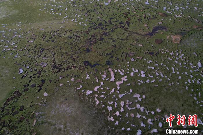 航拍查旦濕地。　馬銘言 攝