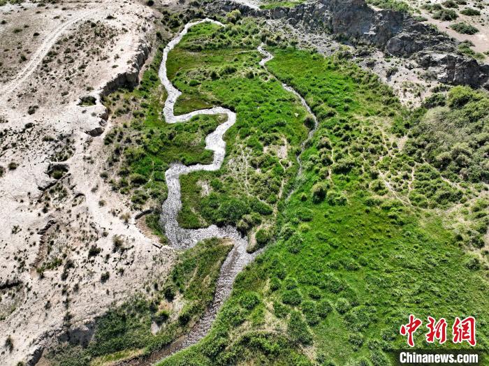 圖為航拍都蘭湖國(guó)家濕地公園綠意盎然?！∑钤鲚?攝