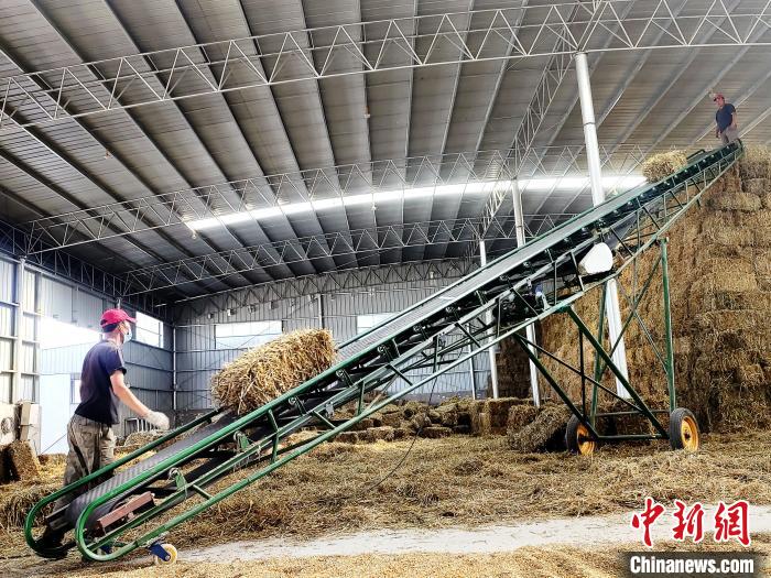 圖為飼草打捆、儲(chǔ)存?！●R芝芬 攝