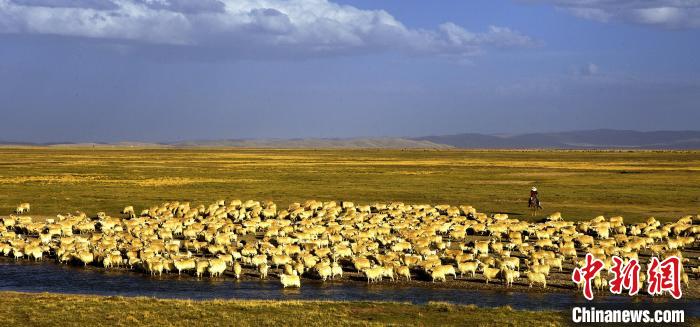 青?，敹唷鞍渍渲椤弊尠傩斟X袋鼓起來