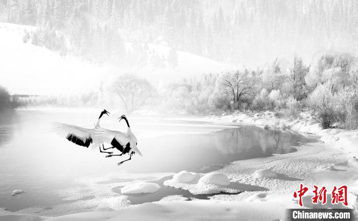 圖為焦生福的作品《鶴嬉雪林》。　青海省祁連山自然保護(hù)協(xié)會供圖