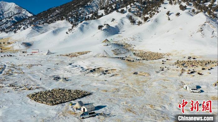 圖為無人機(jī)航拍牧場(chǎng)?！《继m縣融媒體中心供圖