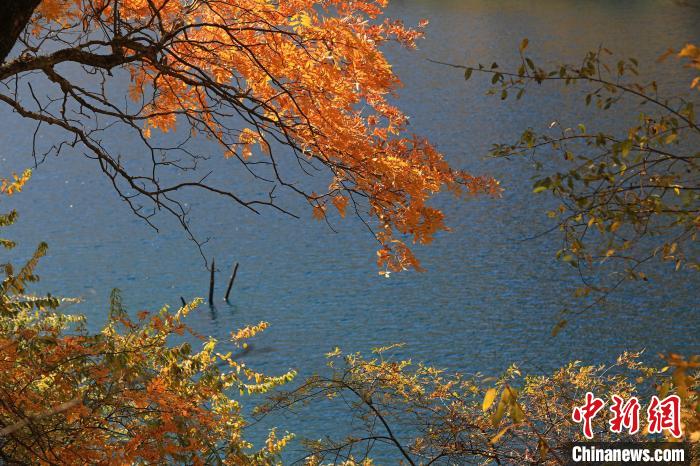 松坪溝風(fēng)光。　劉通 攝