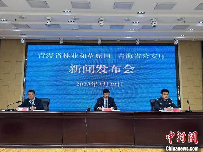 青海去年占用林地、草地準(zhǔn)予許可件同比實(shí)現(xiàn)“雙減”