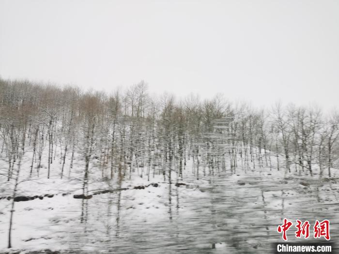 圖為青海青沙山區(qū)域被降雪覆蓋。　張?zhí)砀?攝