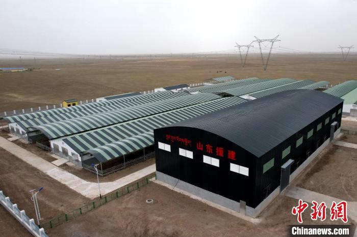 圖為航拍生態(tài)畜牧業(yè)集中規(guī)?；B(yǎng)殖基地?！〔讨绢?攝