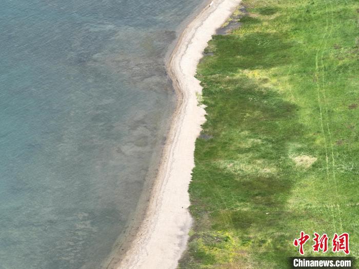 圖為航拍仲夏時節(jié)，青海湖畔綠茵如毯?！∑钤鲚?攝