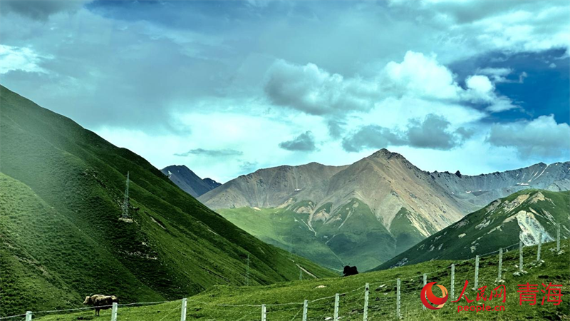 果洛風(fēng)光。人民網(wǎng) 劉沛然攝