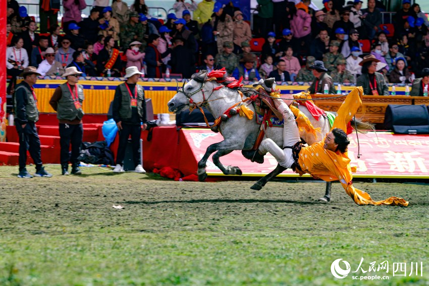 馬術(shù)表演現(xiàn)場(chǎng)。洛絨尼瑪攝
