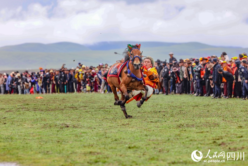 馬術(shù)表演現(xiàn)場(chǎng)。洛絨尼瑪攝